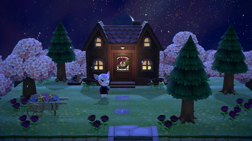 a screenshot from Animal Crossing featuring a house under a starry sky and cherry blossom trees surrounding it