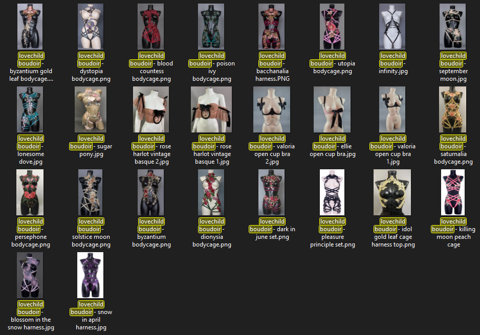 dozens of different bodycages by the same lingerie designer