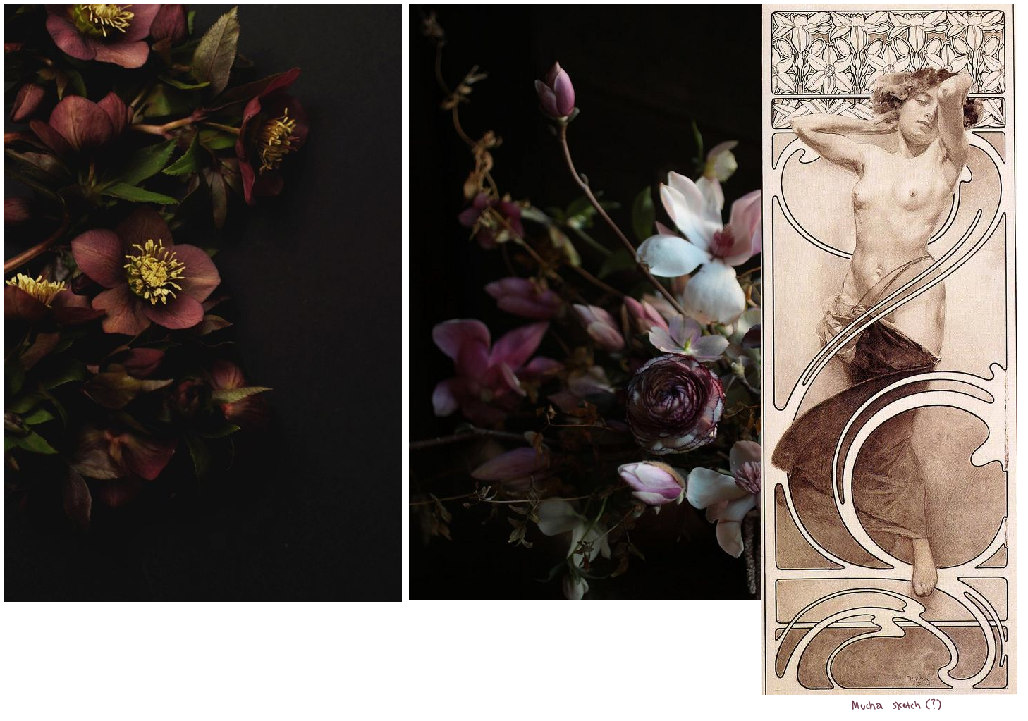 photos of hellebore flowers, and an art nouveau illustration by Alphonse Mucha